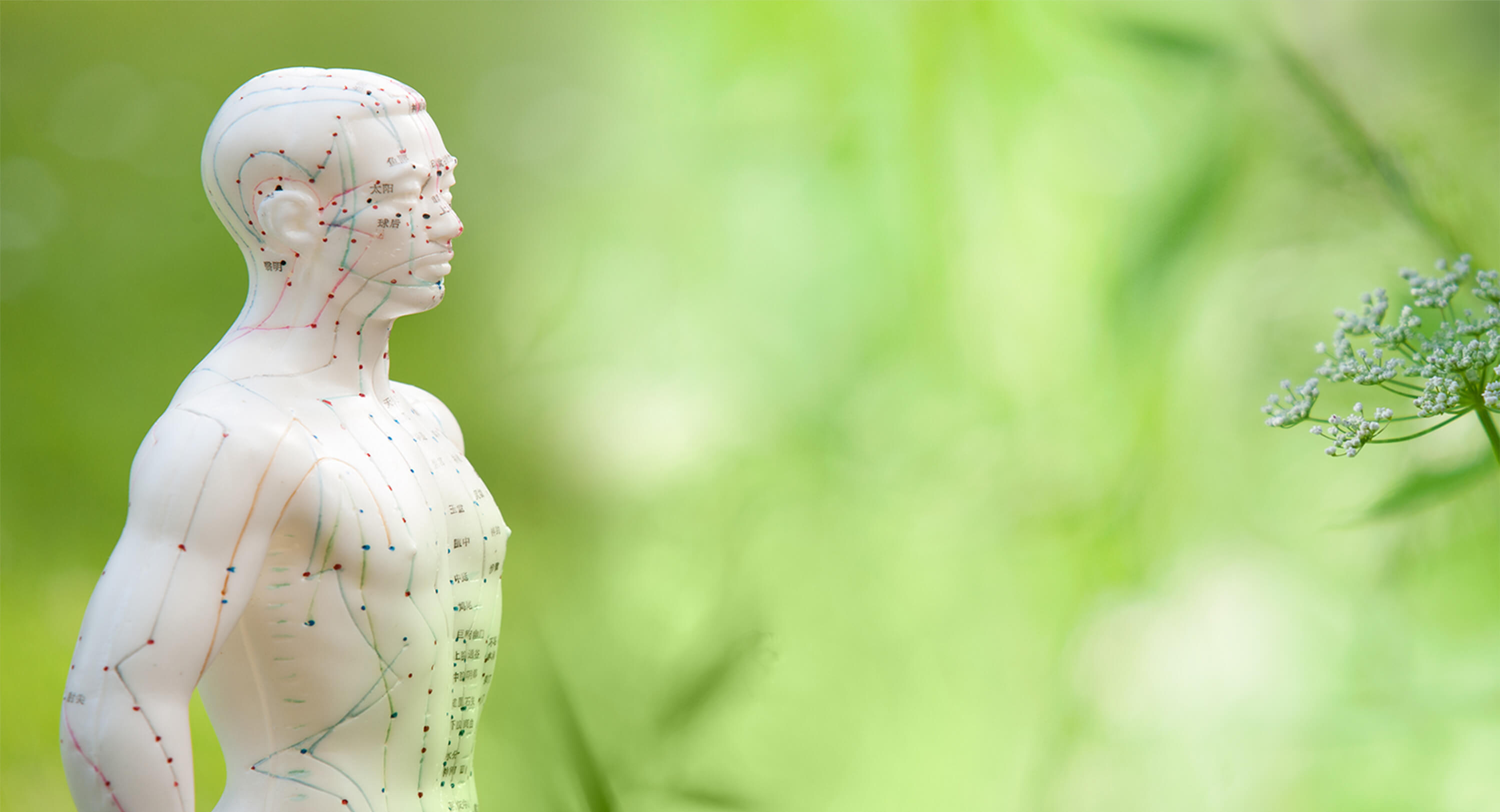 Praticien pour traitement énergétique et déblocage du dos et des lombaires à Lyon