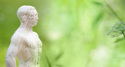 Médecine traditionnelle chinoise à Lyon 2e arrondissement